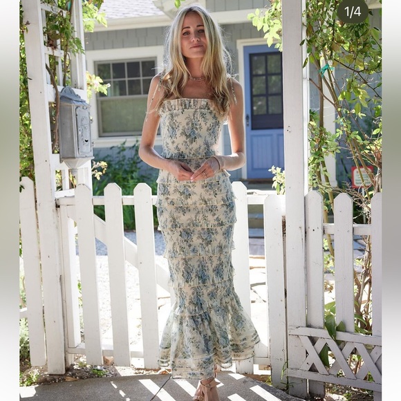 V. Chapman Dresses & Skirts - V. Chapman Geranium Dress Blue Bouquet XXS NWT